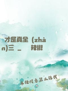 這才是真全戰(zhàn)三國