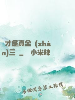 這才是真全戰(zhàn)三國