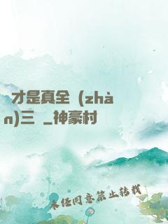 這才是真全戰(zhàn)三國