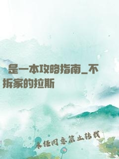 這是一本攻略指南