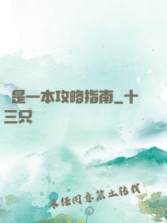 這是一本攻略指南