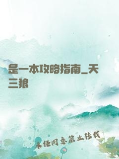 這是一本攻略指南