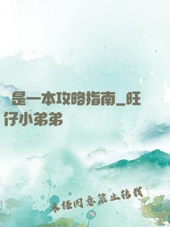 這是一本攻略指南
