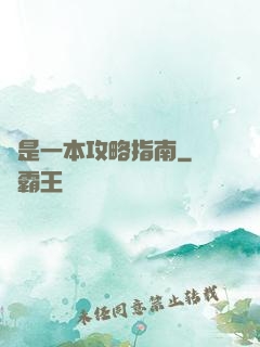 這是一本攻略指南