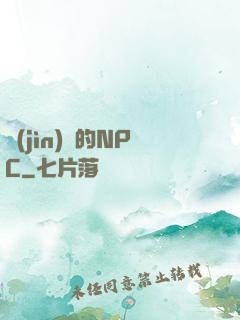 進(jìn)階的NPC