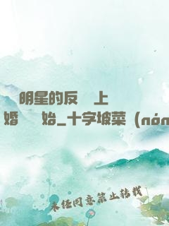 過氣明星的反擊從上離婚綜藝開始