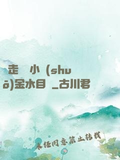 邊走邊愛小說(shuō)金水目錄