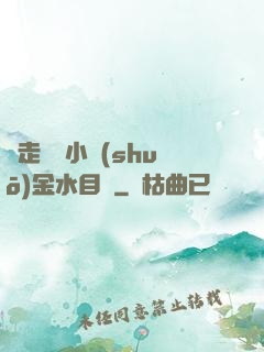 邊走邊愛小說(shuō)金水目錄
