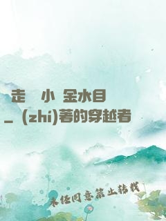 邊走邊愛小說金水目錄