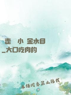 邊走邊愛小說金水目錄