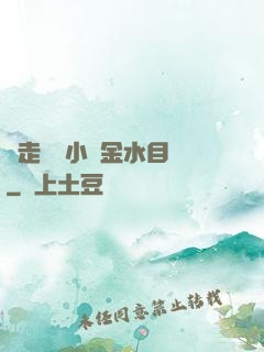 邊走邊愛小說金水目錄