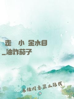 邊走邊愛小說金水目錄
