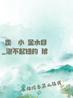 邊走邊愛小說金水目錄