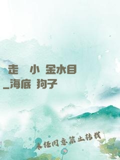 邊走邊愛小說金水目錄