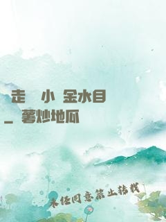 邊走邊愛小說金水目錄