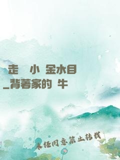 邊走邊愛小說金水目錄
