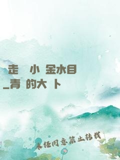 邊走邊愛小說金水目錄