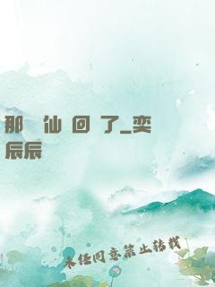 那個劍仙殺回來了