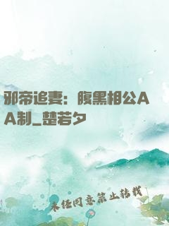 邪帝追妻：腹黑相公AA制