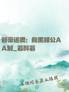 邪帝追妻：腹黑相公AA制