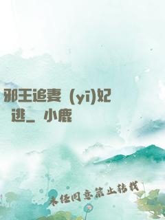 邪王追妻醫(yī)妃別逃