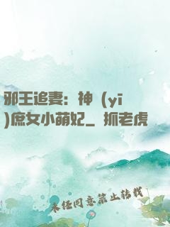 邪王追妻：神醫(yī)庶女小萌妃