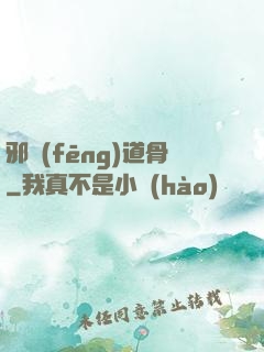 邪風(fēng)道骨