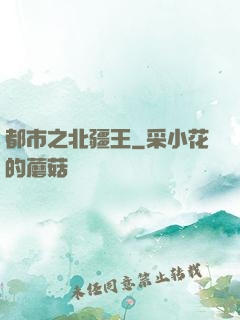 都市之北疆王