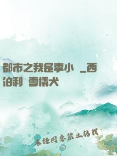 都市之我是李小龍