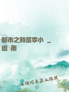都市之我是李小龍