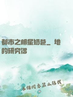 都市之明星奶爸