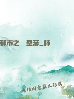 都市之無敵圣帝