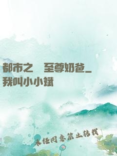 都市之無敵至尊奶爸