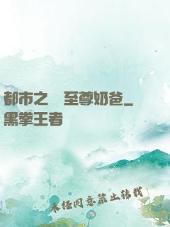 都市之無敵至尊奶爸