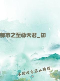 都市之至尊天君
