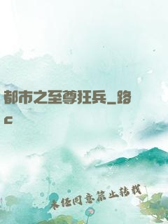 都市之至尊狂兵