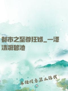 都市之至尊狂婿