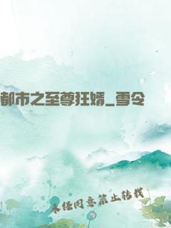都市之至尊狂婿