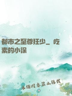 都市之至尊狂少