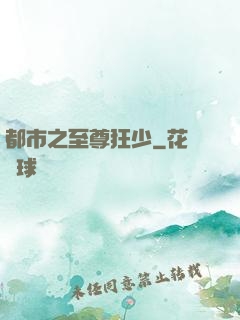 都市之至尊狂少