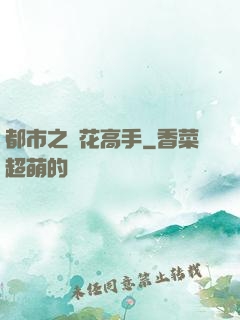 都市之護花高手