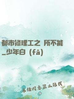 都市修理工之無所不能