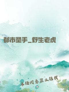 都市圣手