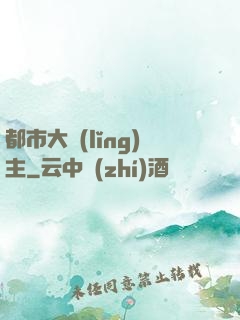 都市大領(lǐng)主