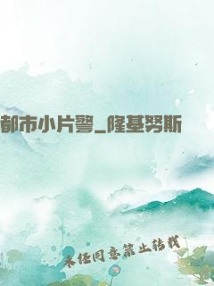 都市小片警