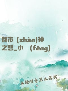 都市戰(zhàn)神之怒