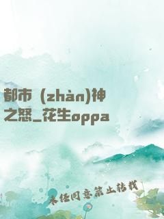 都市戰(zhàn)神之怒