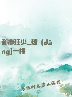 都市狂少