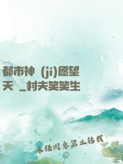 都市神級(jí)愿望天書