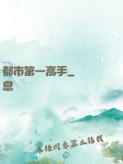 都市第一高手